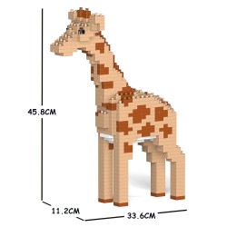 Big size giraffe