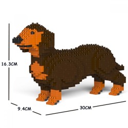 Brown and tan Dachshund dog