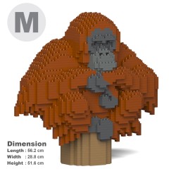 Large orangutan