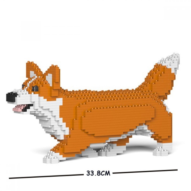 Ginger Walking Welsh Corgi Dog