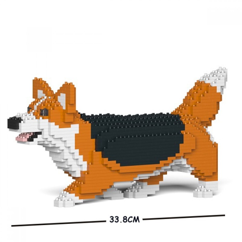 Red and Black Walking Welsh Corgi Dog