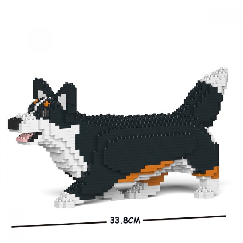 Black Walking Welsh Corgi Dog