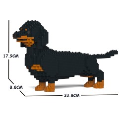 Dachshund dog tail in the air black and tan