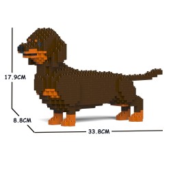 Dachshund dog tail up brown and tan