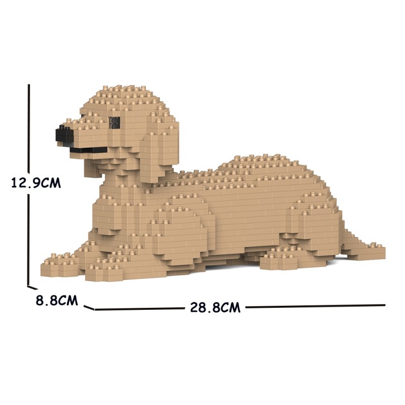 Chien Teckel couché crème