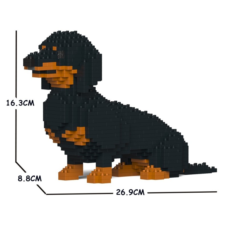 Black and Tan Sitting Dachshund Dog