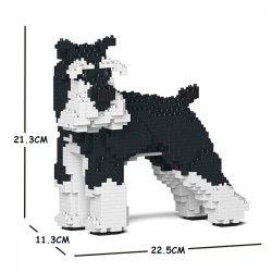Medium Schnauzer dog turning head black and white