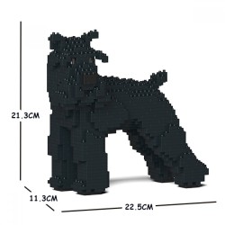 Black Medium Schnauzer Dog Head Turning