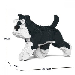 Medium Schnauzer dog walking black and white