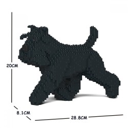 Black Walking Medium Schnauzer Dog