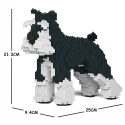 Black and white Medium Schnauzer dog