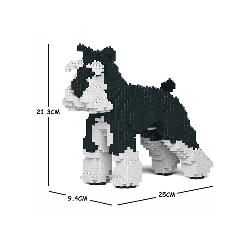Black and white Medium Schnauzer dog