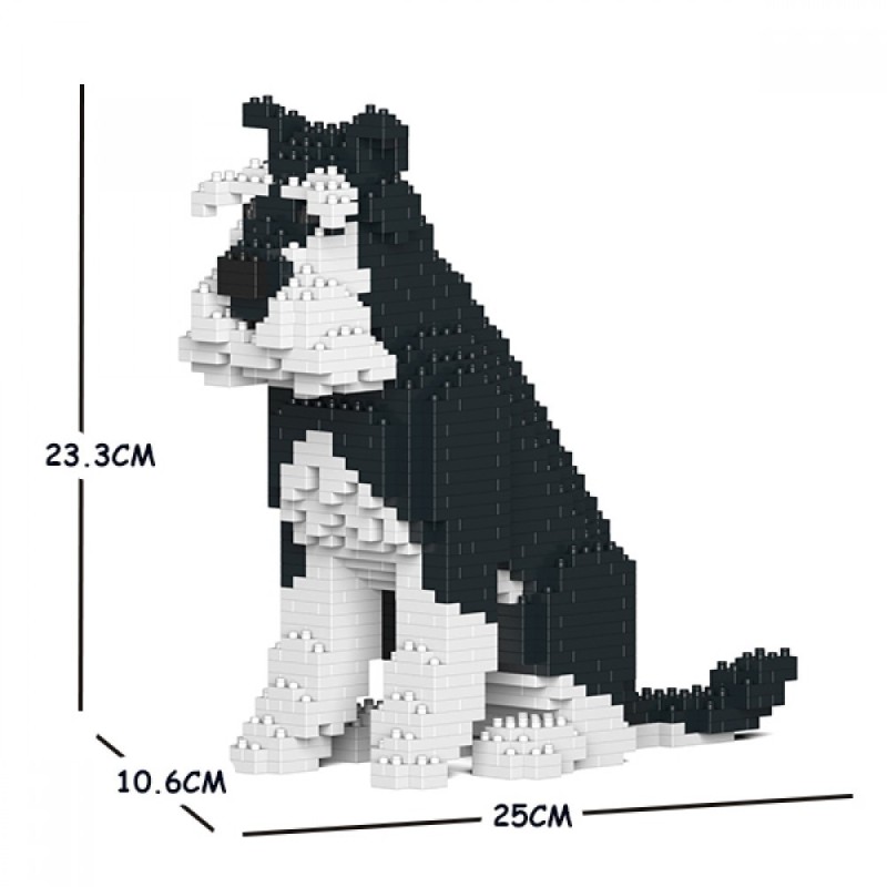 Chien Schnauzer Moyen assis noir et blanc