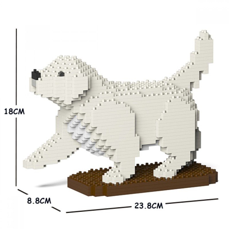 Chien Golden Retriever qui lève la patte crème