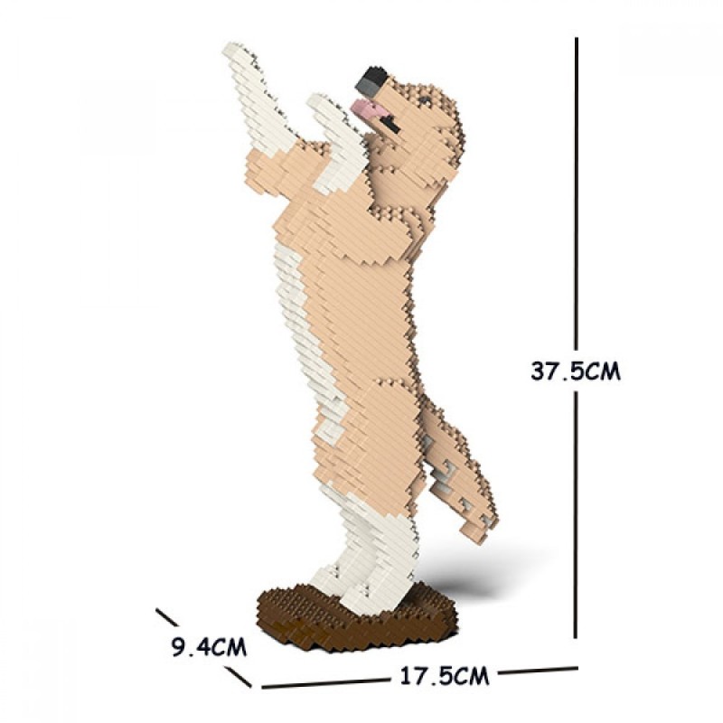 Golden Retriever dog standing beige dirty paws