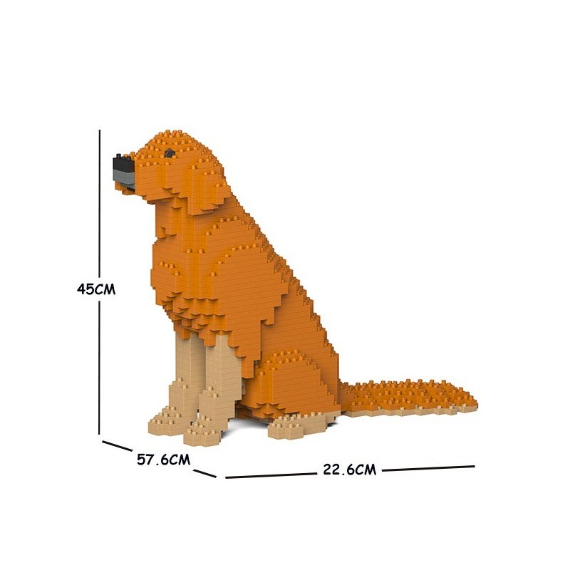 Chien Golden Retriever assis pattes sales marron