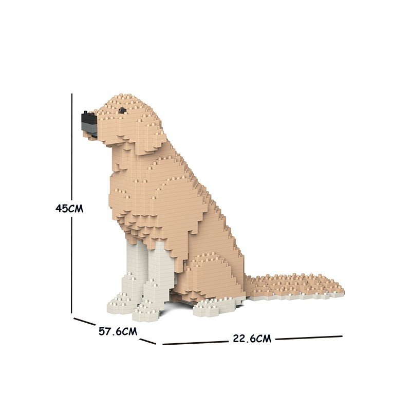 Golden Retriever dog sitting beige dirty paws