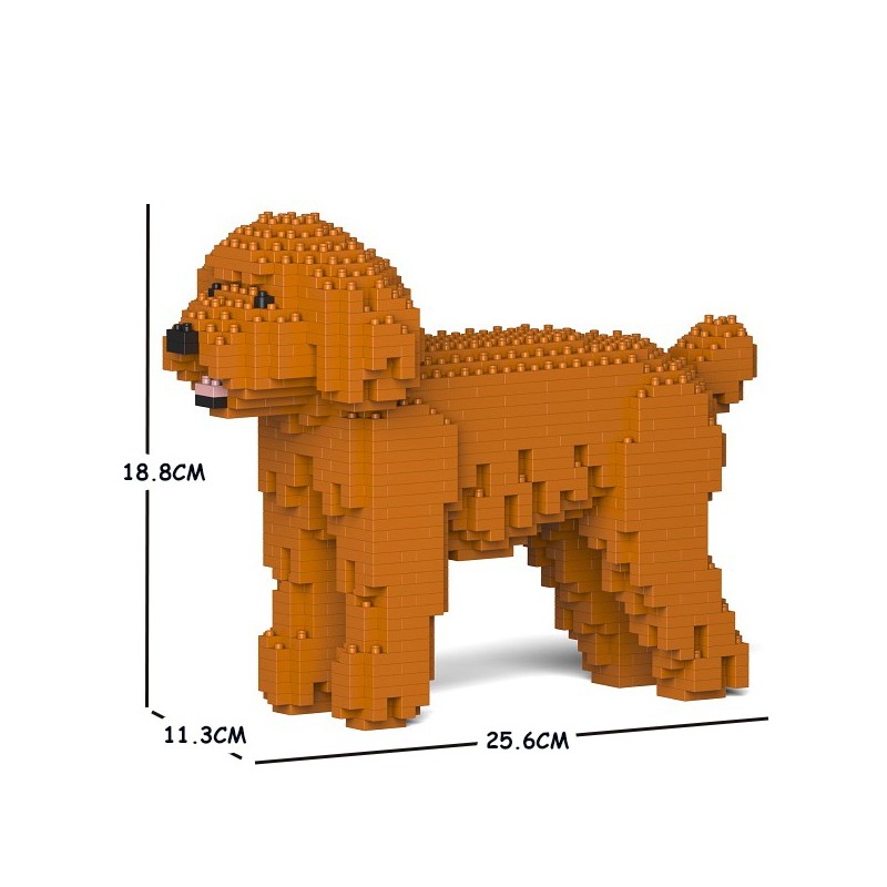 Red Miniature Poodle Dog