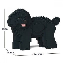 Miniature Poodle dog turning his head black