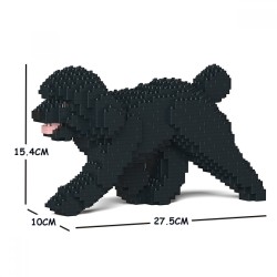 Black Walking Miniature Poodle Dog