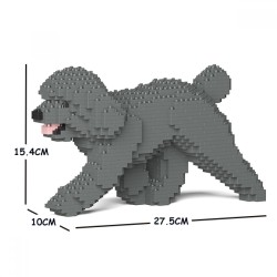 Gray Walking Miniature Poodle Dog