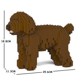 Brown Miniature Poodle dog