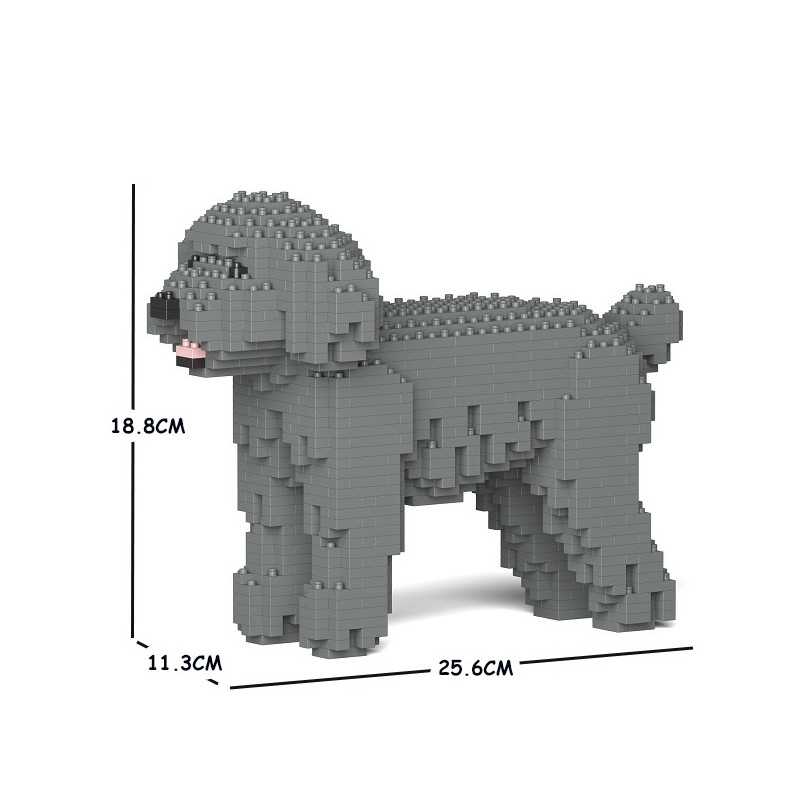 Gray Miniature Poodle dog