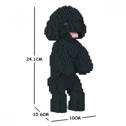 Miniature Poodle dog standing black