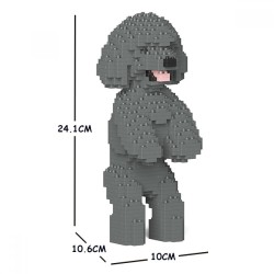 Miniature Poodle dog standing gray