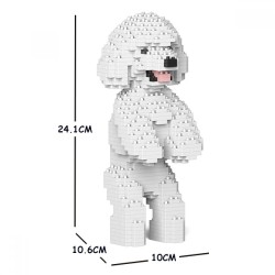 Miniature Poodle dog standing white