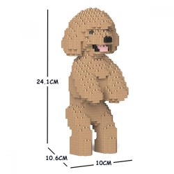 Beige Miniature Poodle dog standing