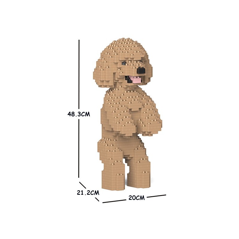 Chien Caniche Nain debout beige