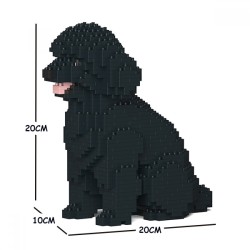 Black Sitting Miniature Poodle Dog