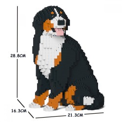 Sitting Bernese Mountain dog that turns its head