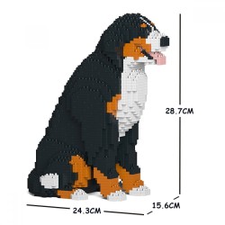 Bernese mountain dog sitting