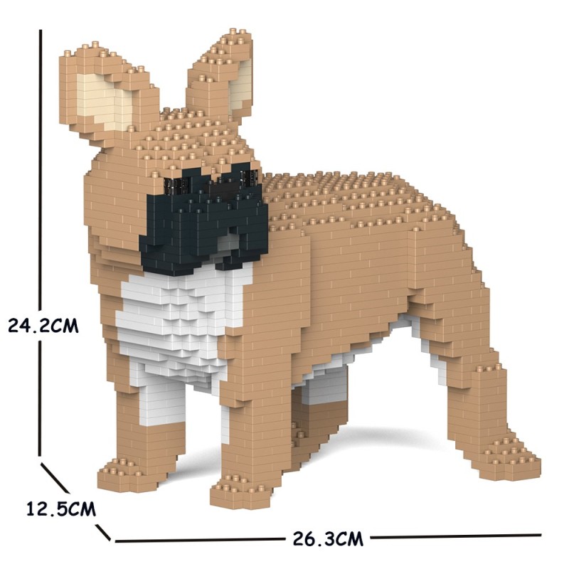 Chien Bouledogue Français qui tourne la tête fauve