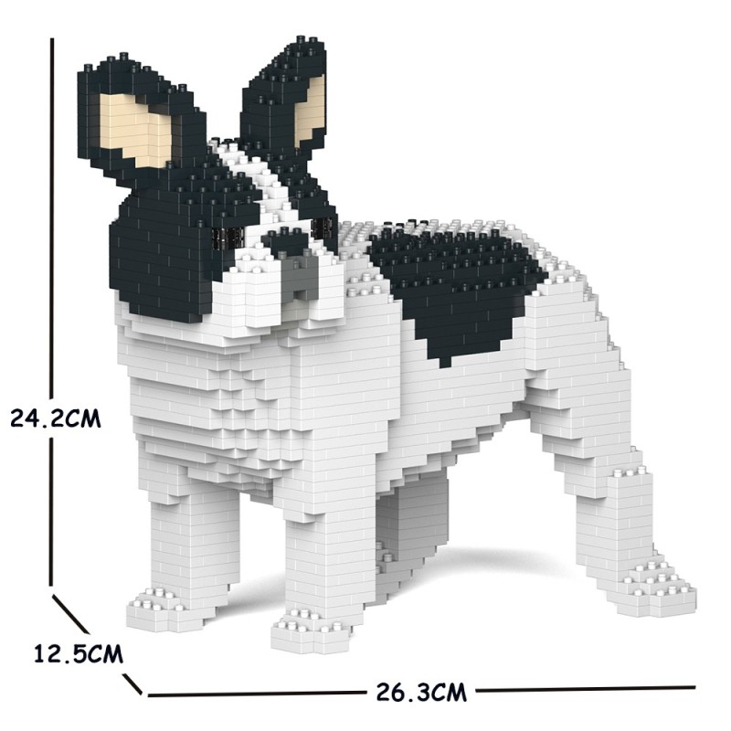 Chien Bouledogue Français qui tourne la tête caille noir