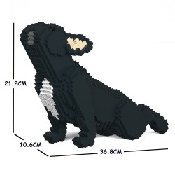 Black French Bulldog Dog Doing Yoga