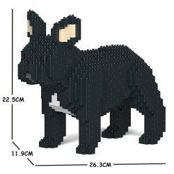 French Bulldog dog erect ears black