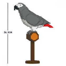 Gabon Gray Parrot