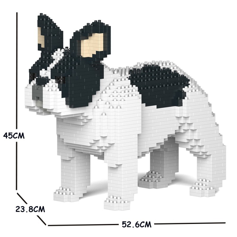 Chien Bouledogue Français oreilles dressées caille noir