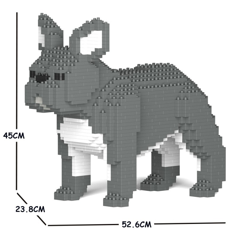 Chien Bouledogue Français oreilles dressées bleu