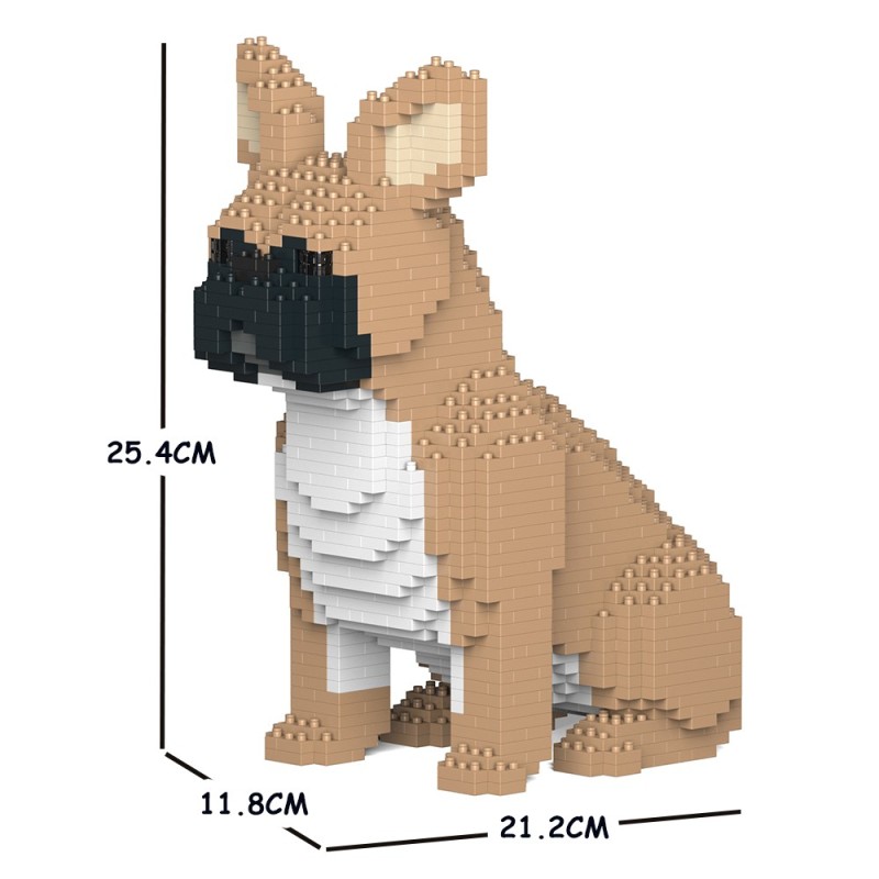 Sitting fawn French Bulldog dog