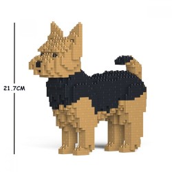 Yorkshire terrier dog