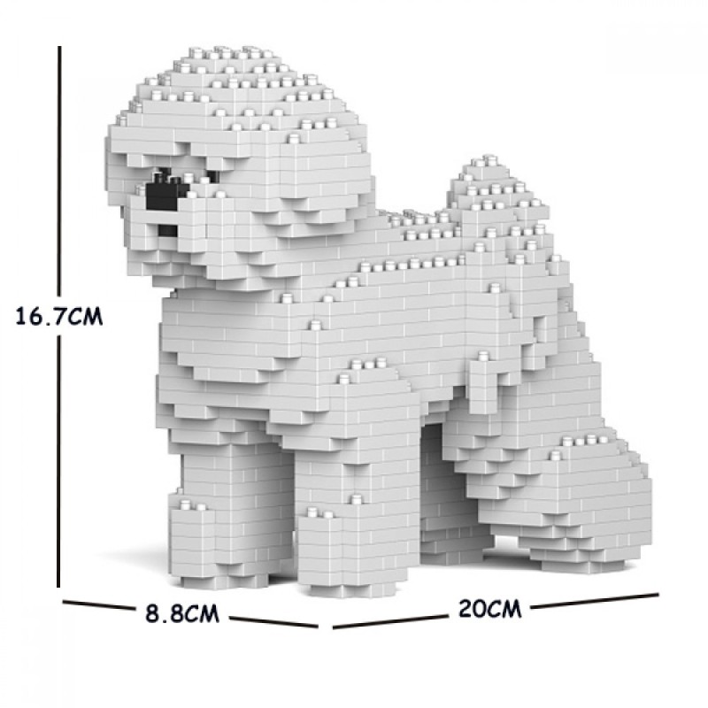 Chien Bichon à poil frisé 1er génération