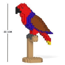 Large Red Eclectus