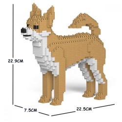 Beige Chihuahua dog