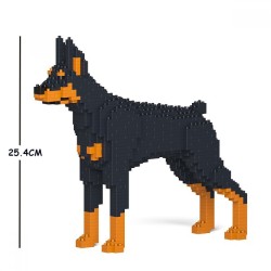 Black and tan Dobermann dog