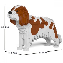 Cavalier King Charles Spaniel dog with brown spots