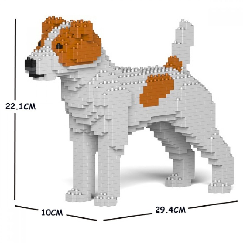 Chien Jack Russell Terrier taches marrons